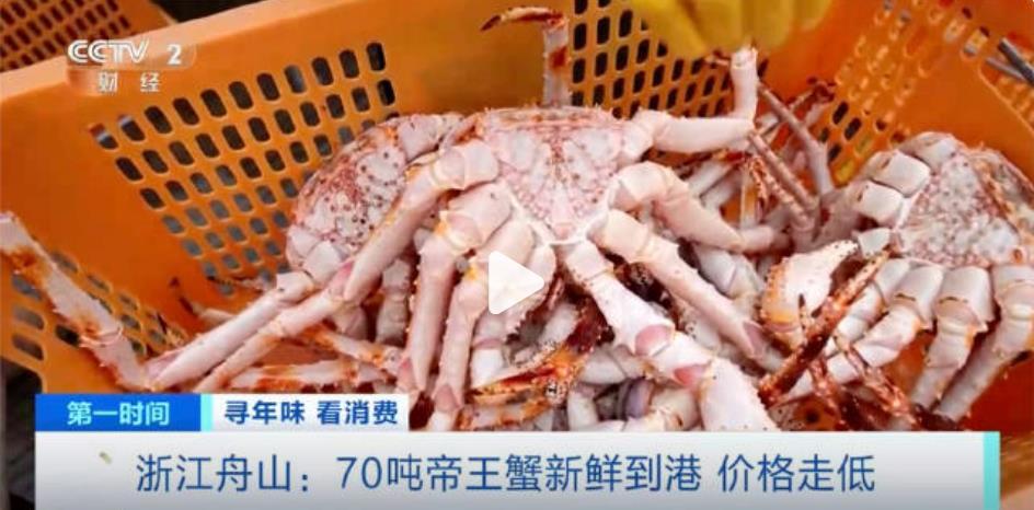 春节帝王蟹价格不涨反跌  鲜活帝王蟹价格跌破千元 烽火问鼎计划  今年的帝王蟹特