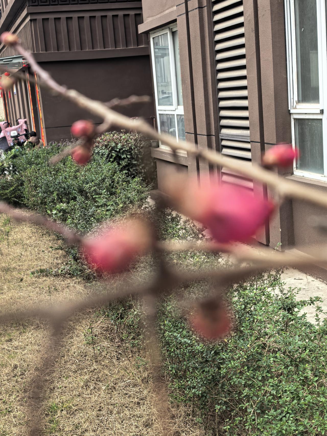 风雨送春归，飞雪迎春到。已是悬崖百丈冰，犹有花枝俏。