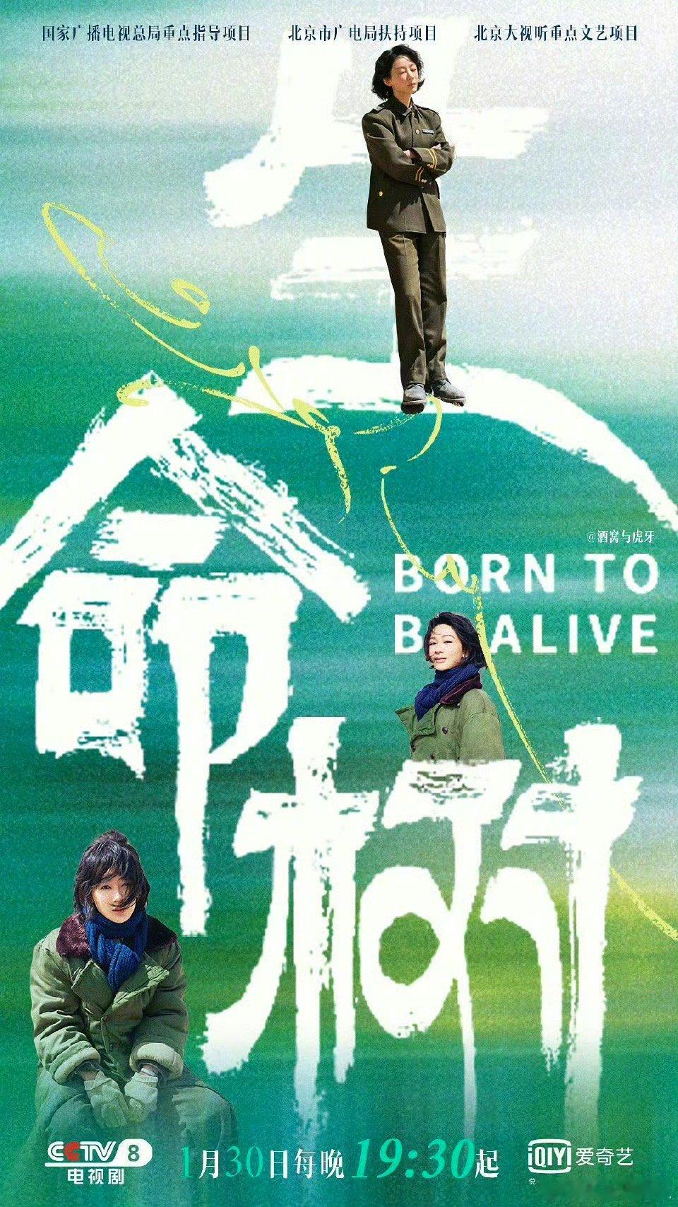 这个杨紫真的好优秀！｜杨紫 