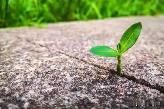 无论任何关系，
所有对你态度恶劣的人，
都是你自己惯出来的。
无论多么要好的关系