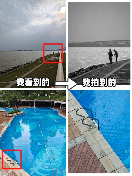 10万人看过的构图方法！小白一分钟也能学会