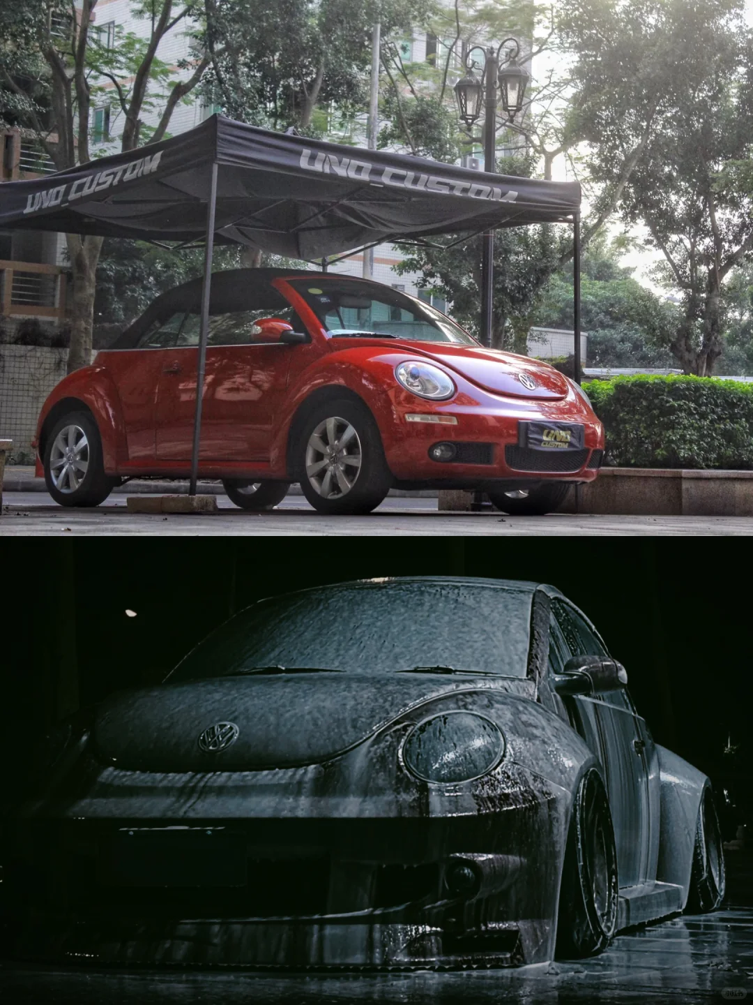 丑小鸭变天鹅｜是因为它本身就是天鹅