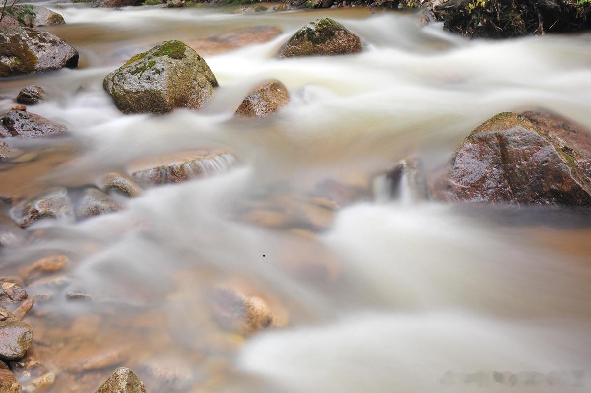 违法分配利润的，将违法分配的利润退还公司，给公司造成损失的，除了股东承担赔偿责任