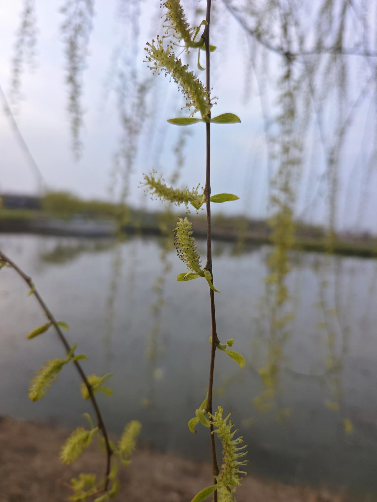 终有一天你会明白人生的长度长不过春夏秋冬，人生的宽度宽不过南北西东，人生的高度高