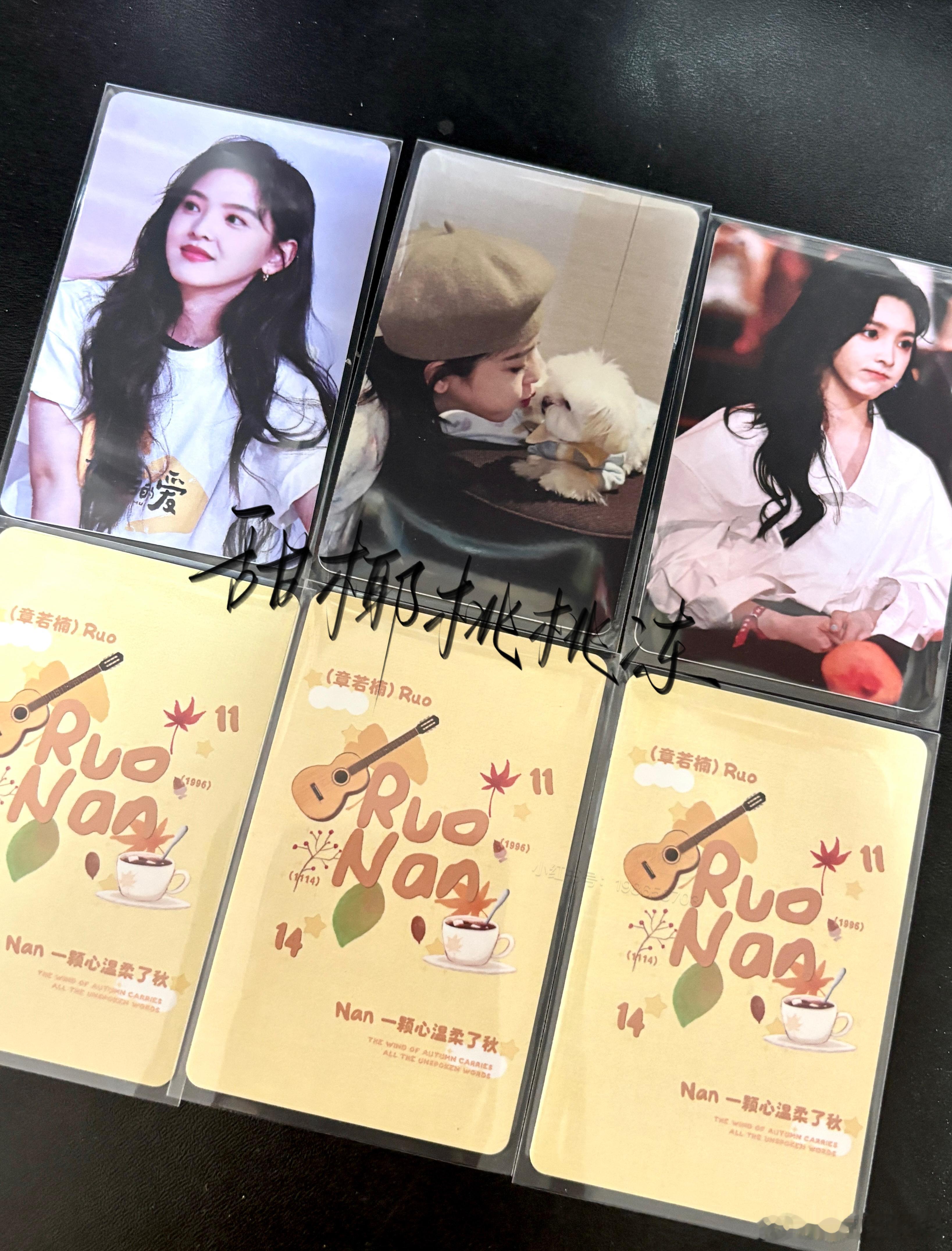 章若楠周边中转站  【存档】郁金香花印小卡*2  专栏 · 关于若楠(´,,•ω