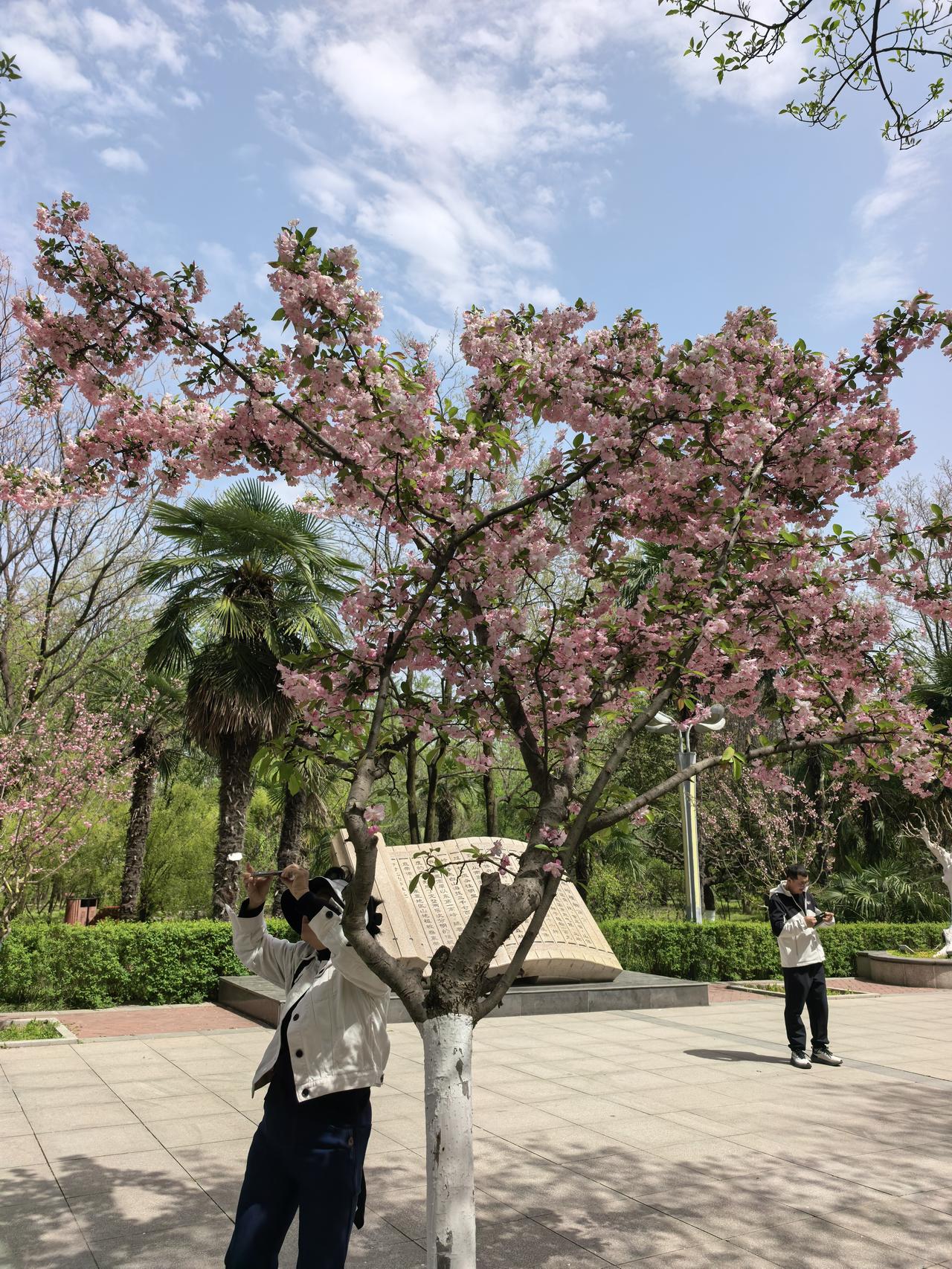 赣锋锂业A股本周走势分析及展望

一、本周走势回顾

2026年4月7日至10日