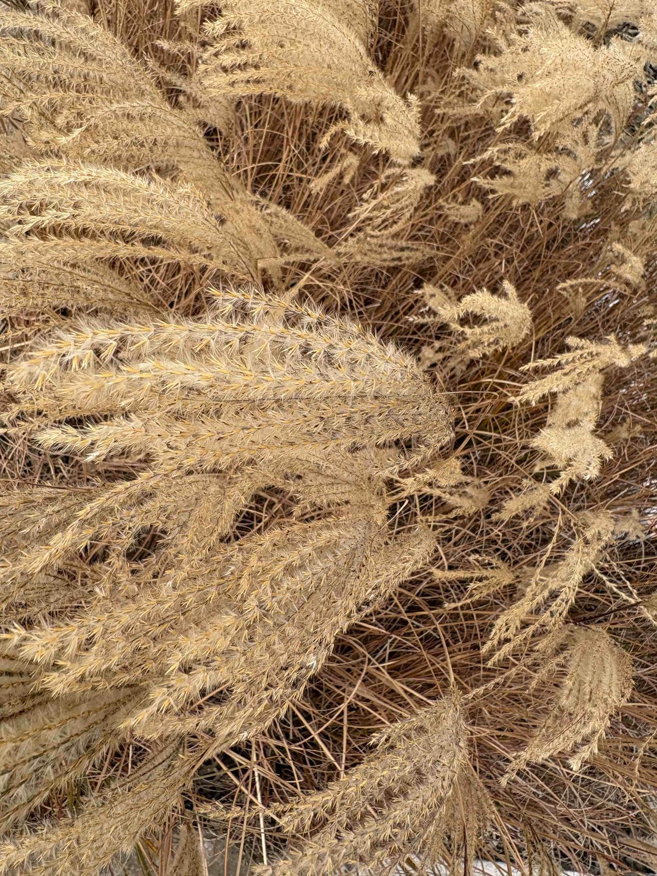 2026 年中国股市开门红的原因，以及热点方向，以后的操作策略。

2026年A