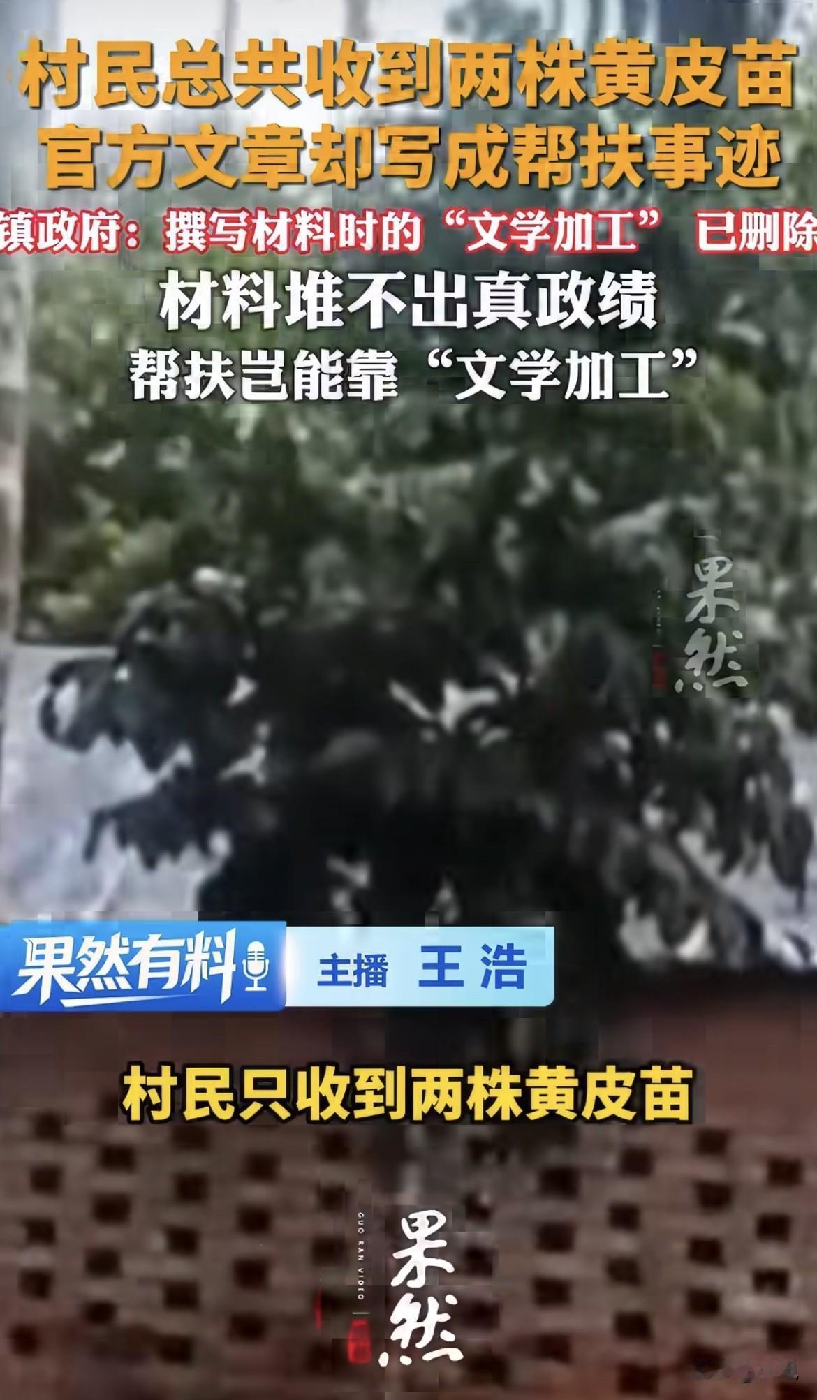 镇政府说公众号文章是“概括性文学加工表述”。

两株黄皮苗，加工成“多次自掏腰包