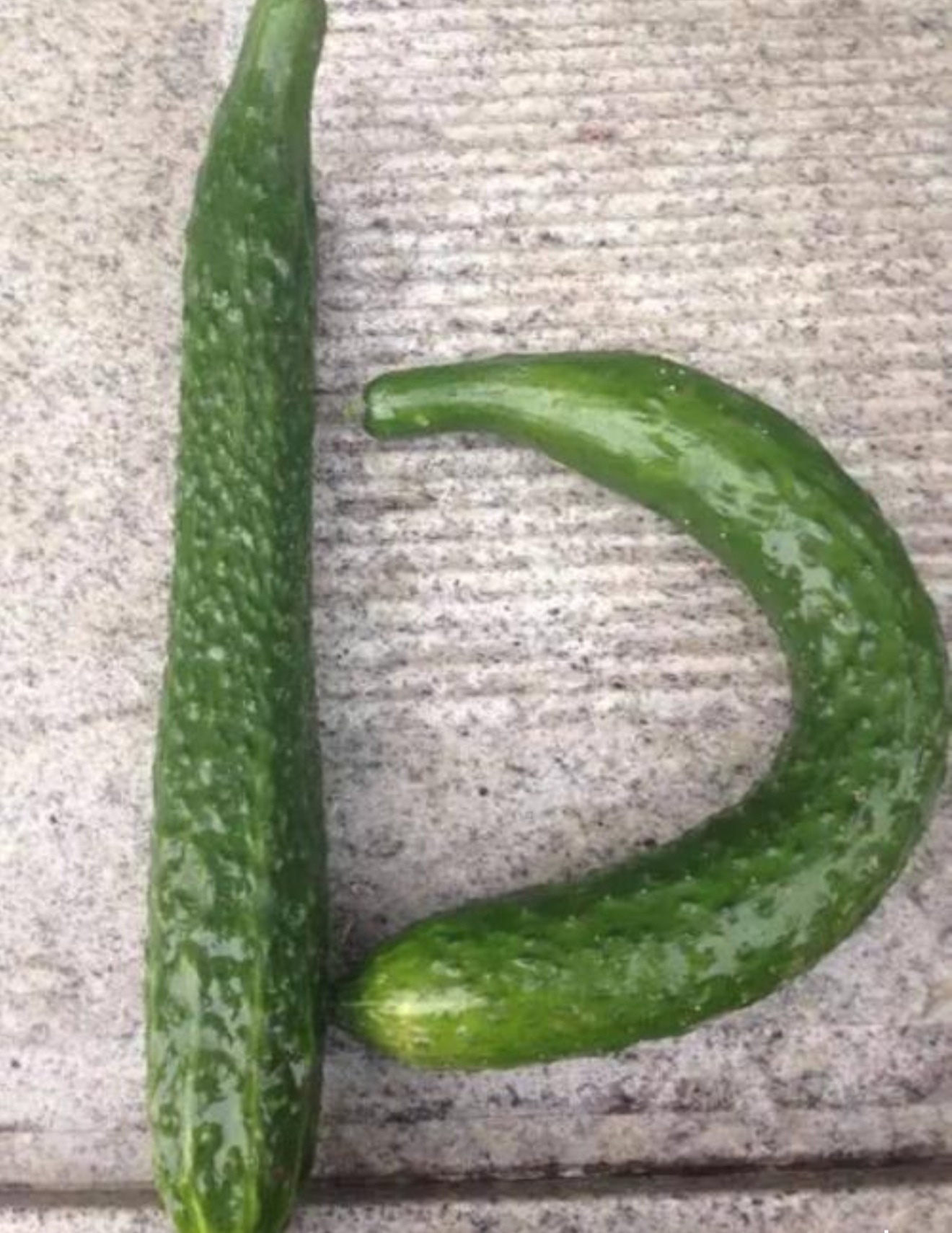 出道半生，归来还是弯的