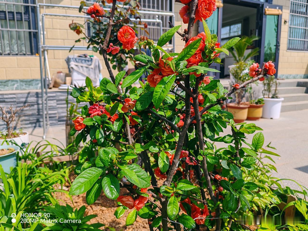 保姆在我家干了二十年，退休前非要拿走那个用了十几年的旧菜板，我追到门口才发现菜板