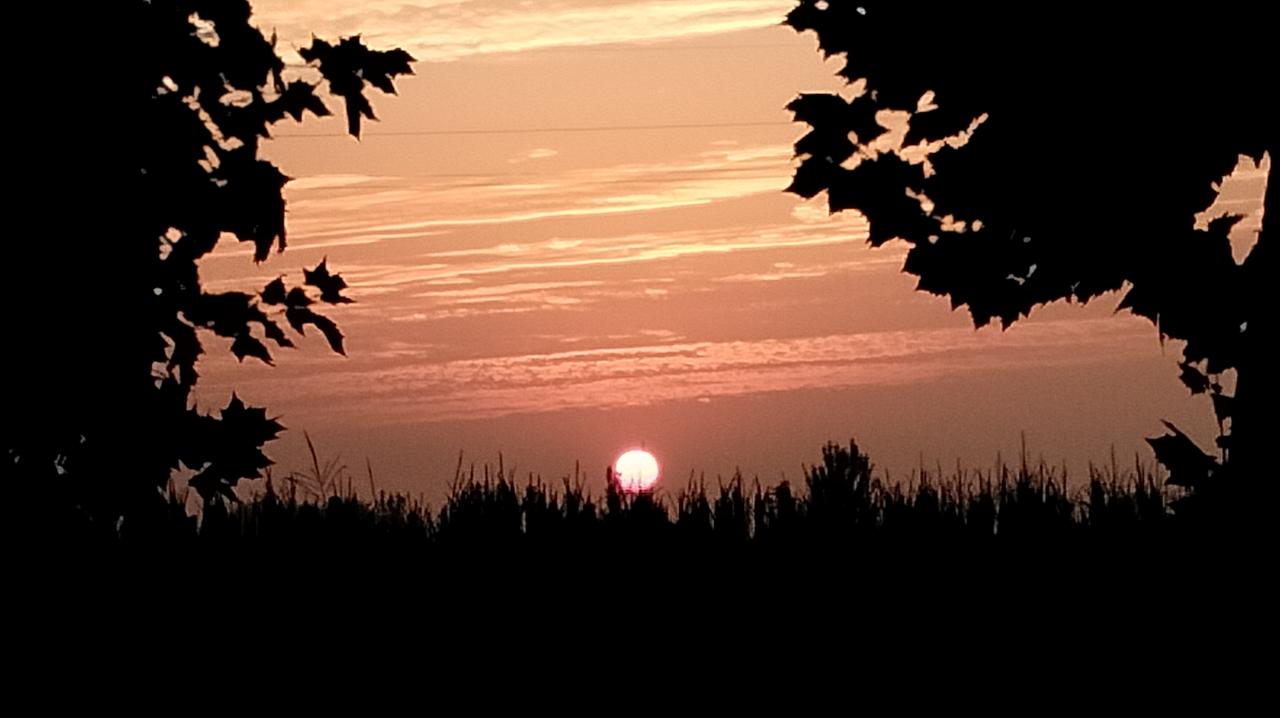 晒一张晚霞的照片吧夕阳红，晚霞。