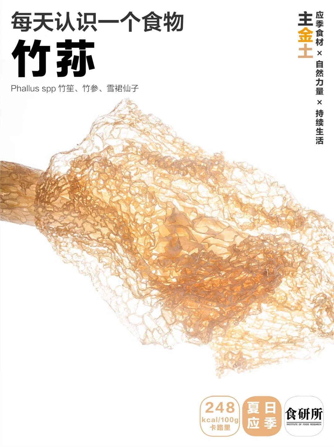 夏日煲汤神菌 | 竹荪🍲