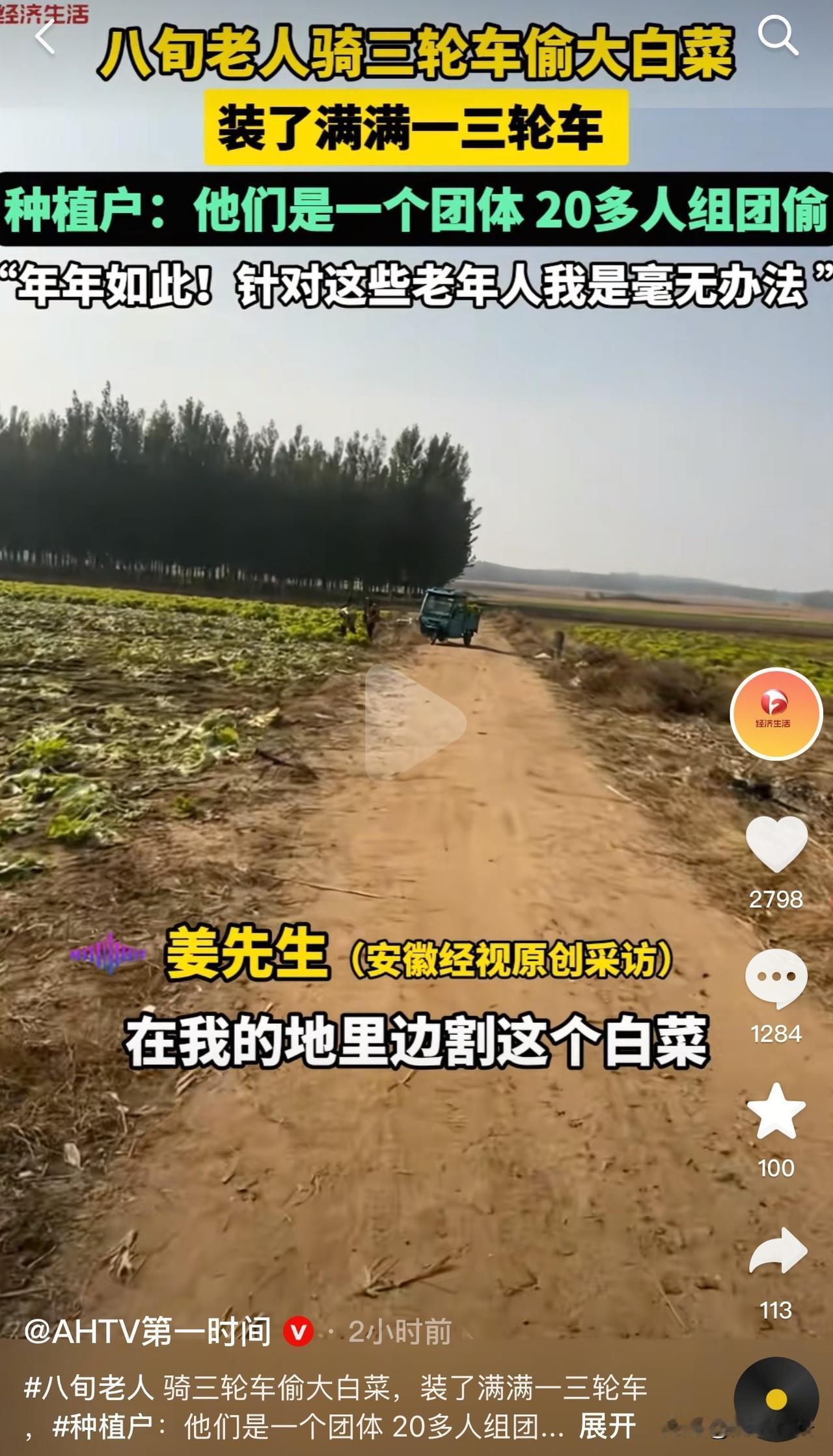 真是太无耻了！山东莱阳，一菜农反映种植的白菜还不到收获的时候，竟被八旬老人组团来