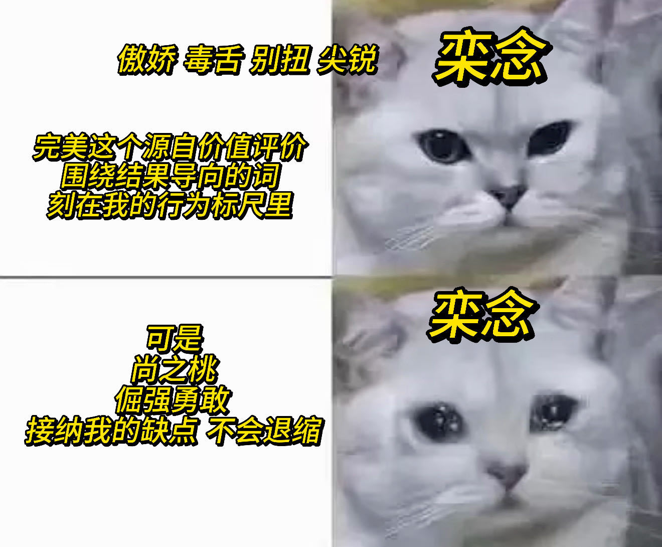早春晴朗的无需完美方得挚爱 一念难桃就这样慢慢靠近彼此，慢慢变成更好的自己！再多