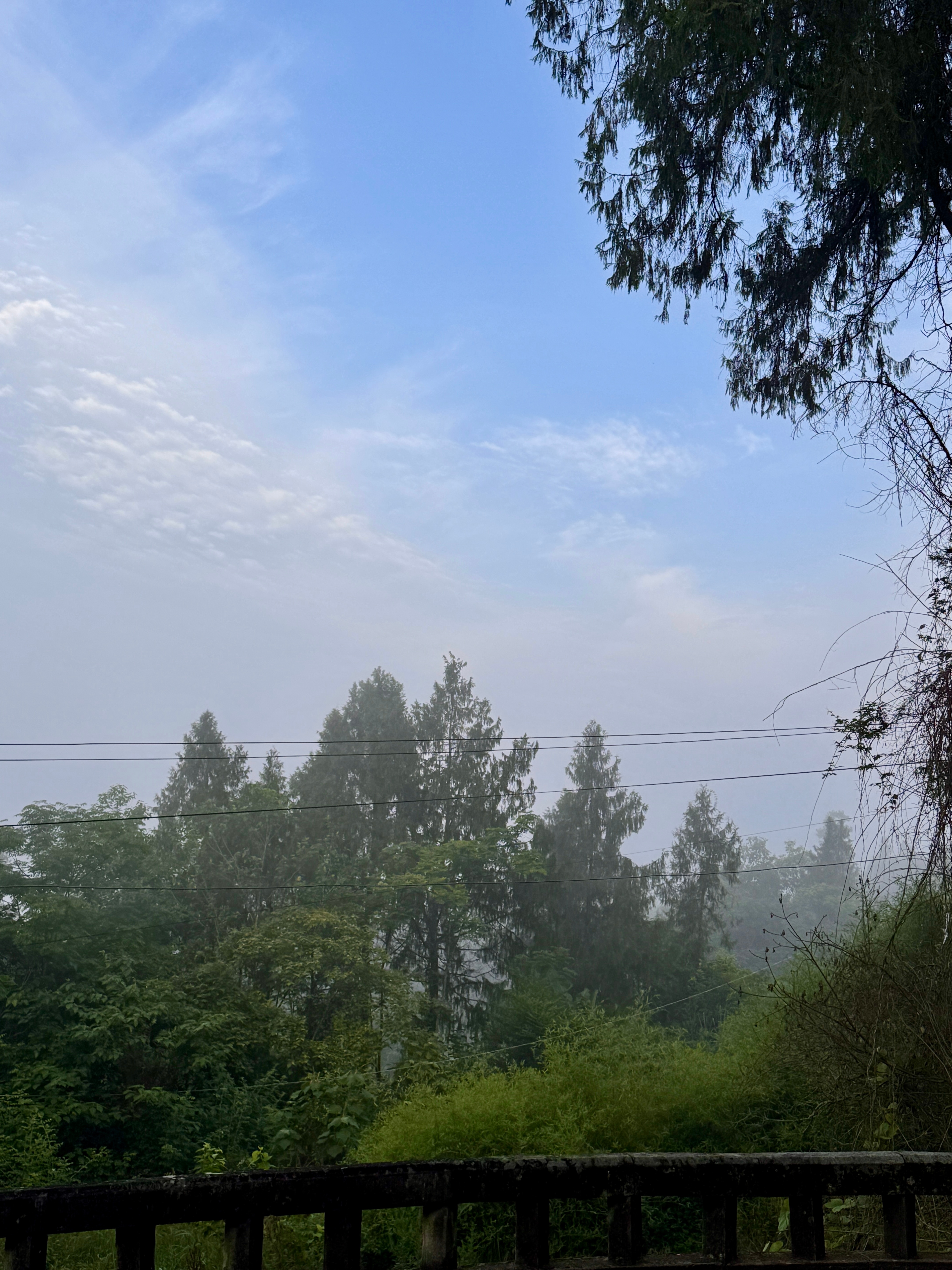 呼吸了一下村里面的新鲜空气感觉又能多活几年了