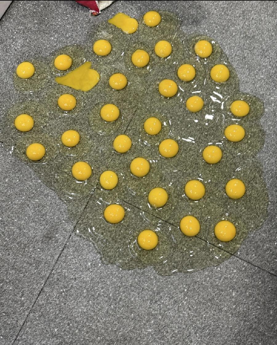 婆婆说买的是农村散养的土鸡蛋，我说，你这是被人骗了！现在路边有好多阿婆装可怜，明