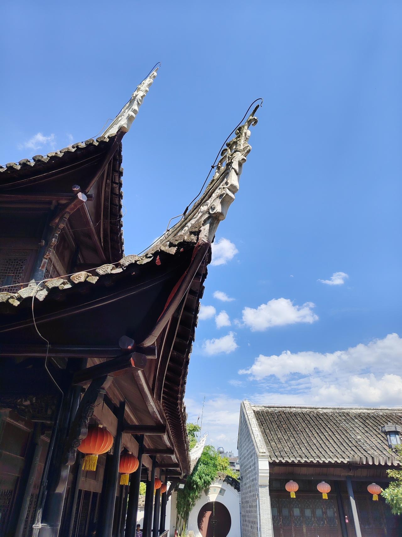 【哲理警句】：不破不立，痛是成长的代价；破茧成蝶，痛是重生的序曲。