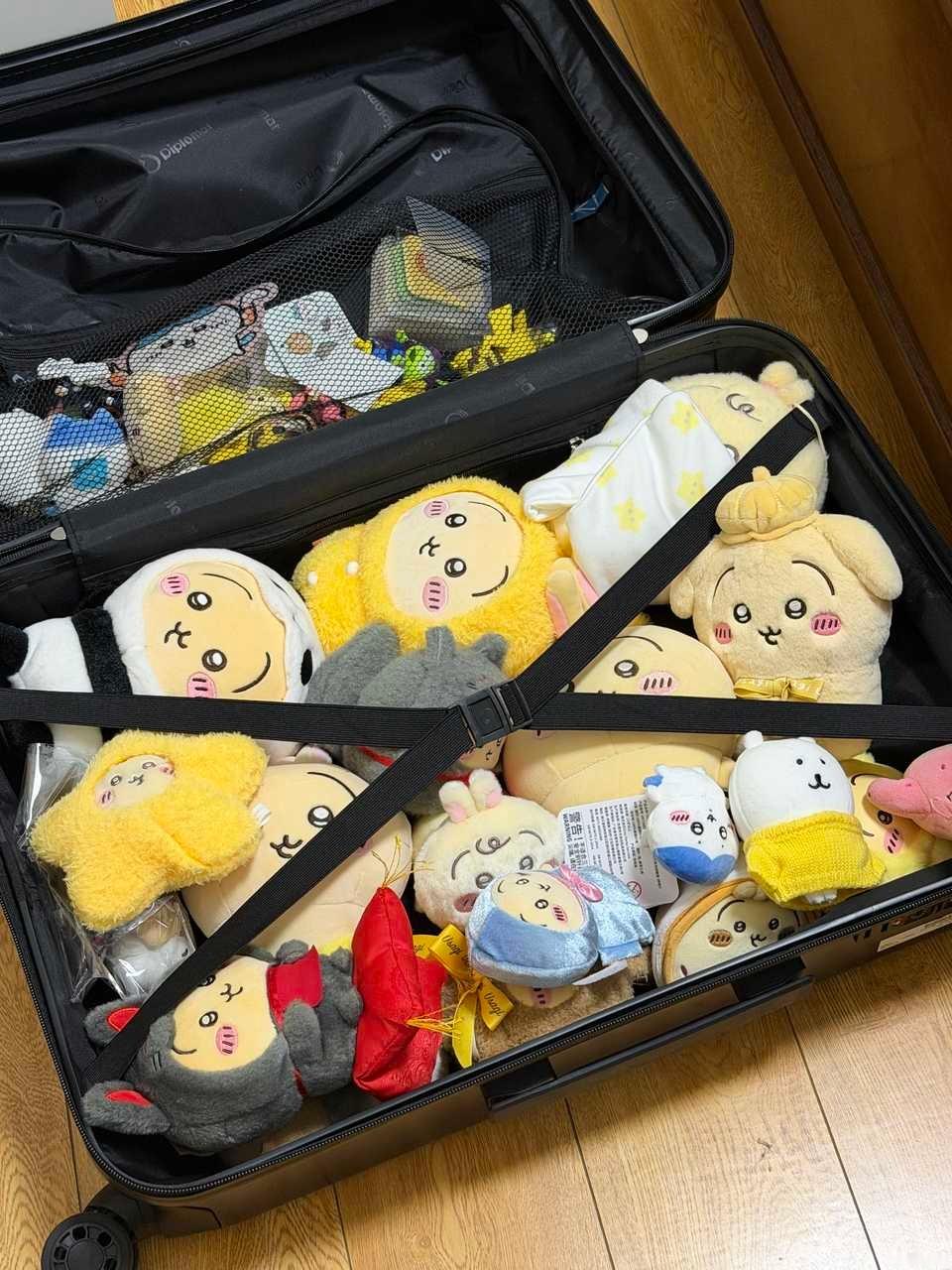 投稿：带孩子们搬家。 ​​​