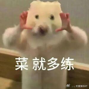 感情若真心，何必遮遮掩掩？大方官宣又何妨？总好过不明不白，让人胡乱猜测，徒增烦恼