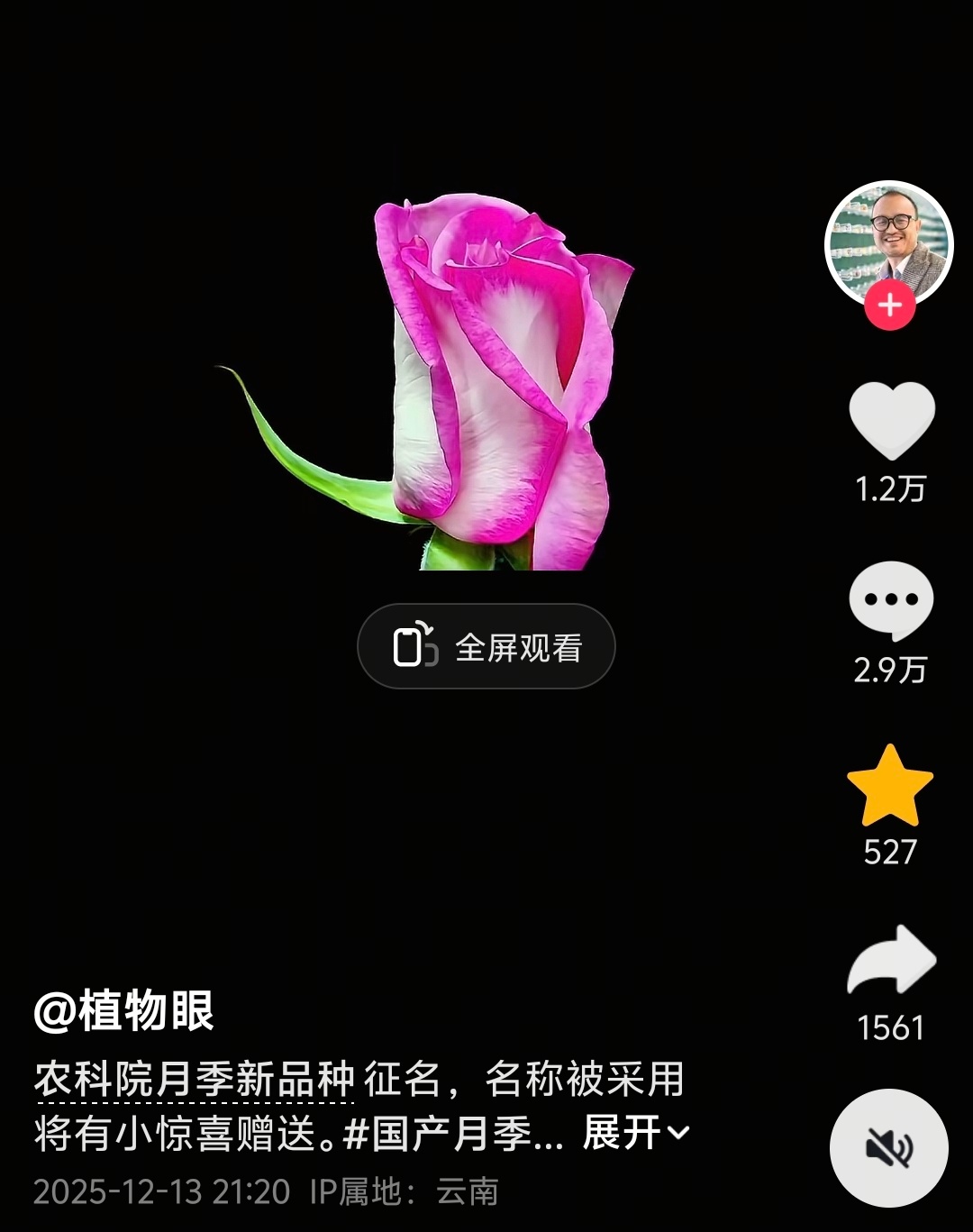 【刘宝华月季】网友给新品种月季取名刘宝华 小鱼妹儿来分享最近看到最好玩的帖子~晒