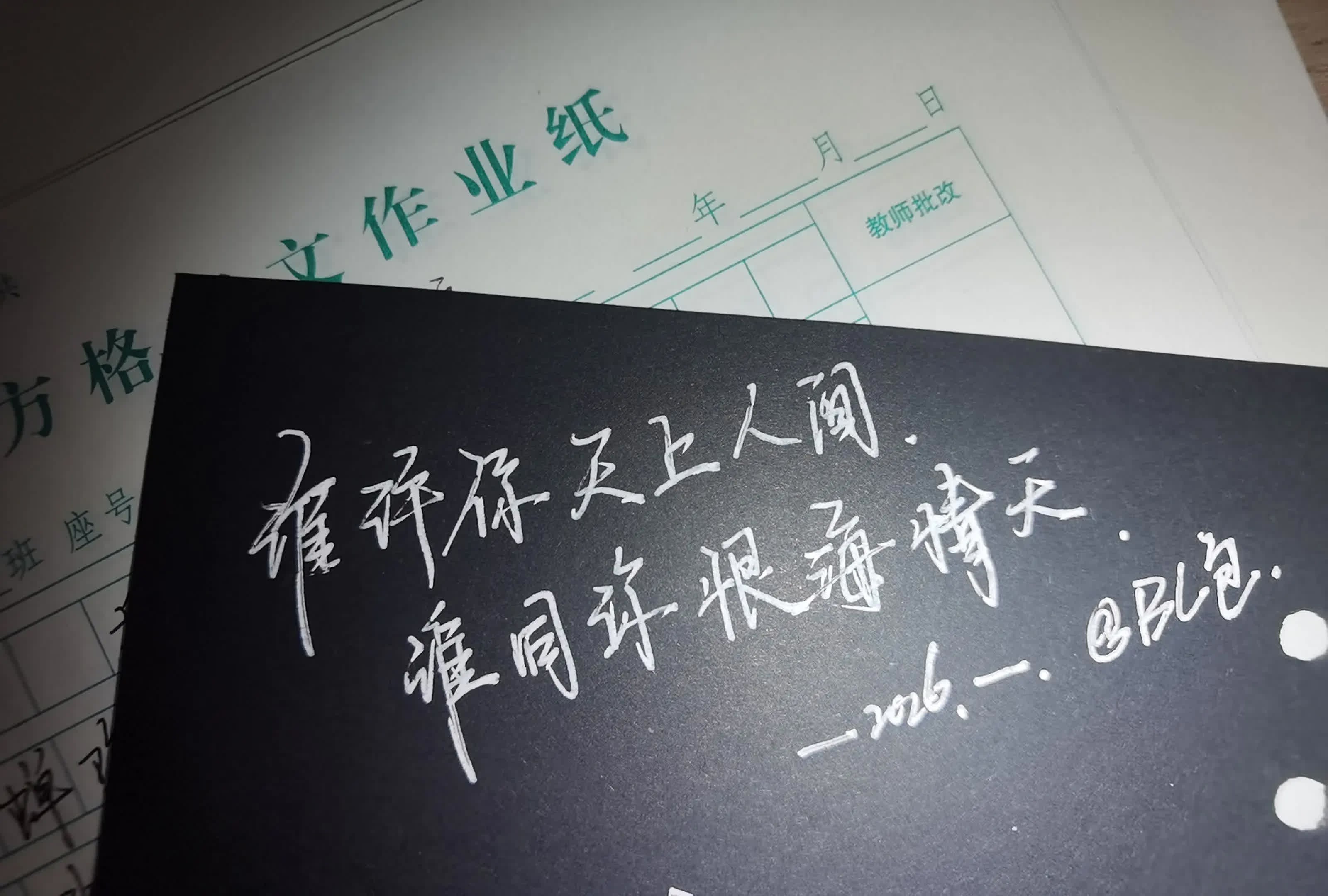 玫瑰你拿才浪漫，大海有你才好看。手写信至高无上的浪漫 