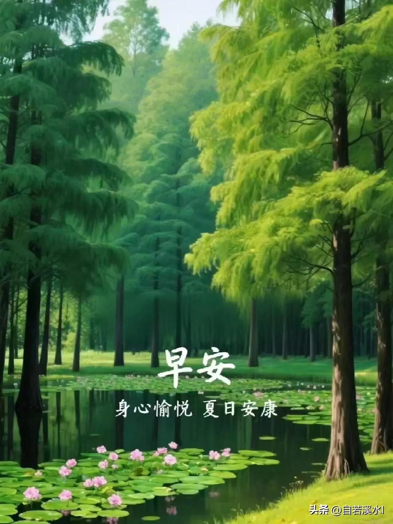 把烦恼留在昨夜，带着温柔与自信，开启崭新的一天。