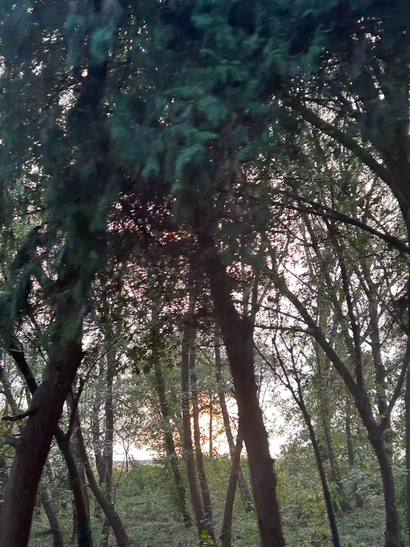 经过洪泽湖好多次，第一次进来，发现真的很漂亮，正好赶上落日。 ​​​