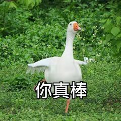 #吉林一文旅局长喊麦宣传文旅# 吉林的文旅局长真是会玩！喊麦宣传家乡旅游，再加上