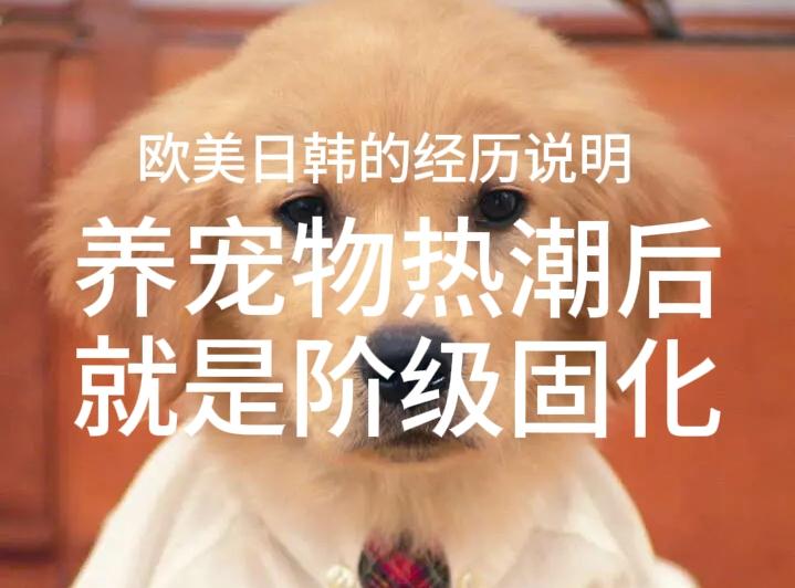 宠物大规模全民化热潮，是社会阶层流动放缓、阶级走向固化最直观的民间标志性事件。