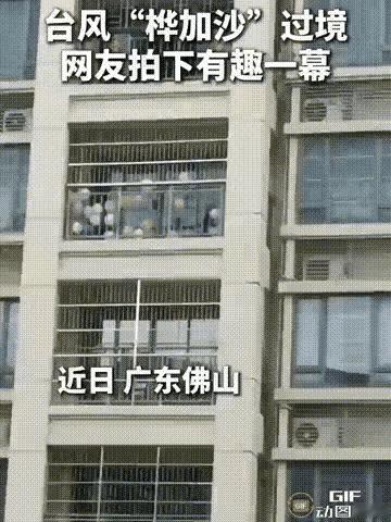 人怎么可以这么聪明！广东佛山，超强台风桦加沙肆虐而至，狂风骤雨让街巷变得危机四伏