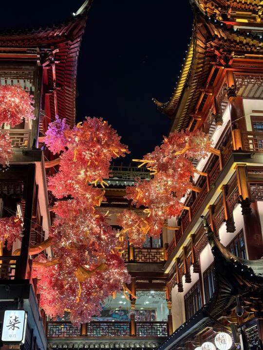 在上海！有各种漂亮的灯会