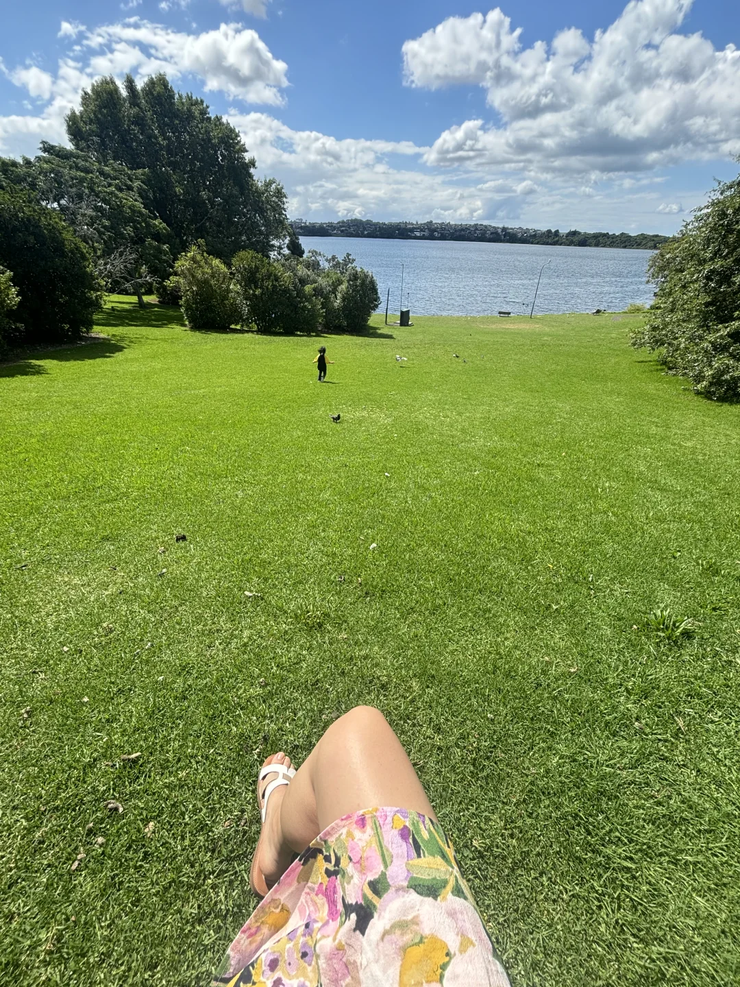 40岁辞职来新西兰的断裂感和重生