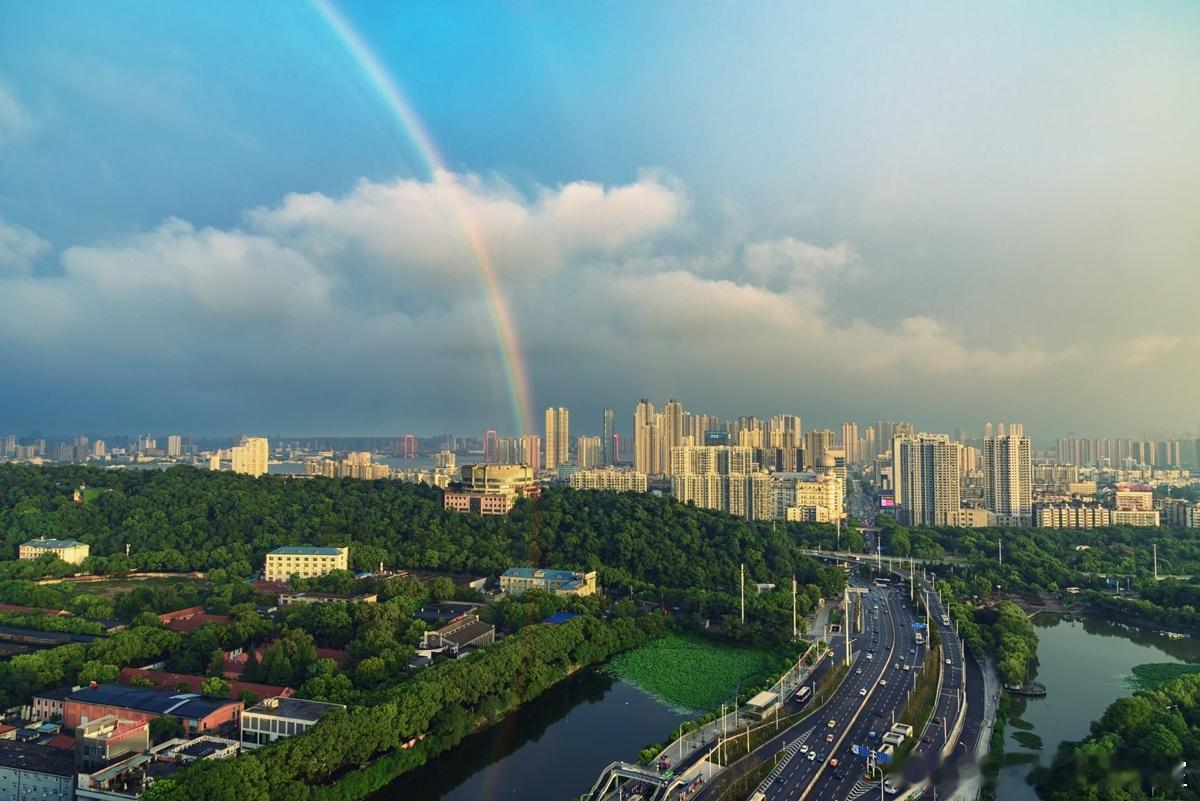 有的公司年年都盈利却以不分红，怎样保护小股东利益？五年连续盈利却不分红，股东可以