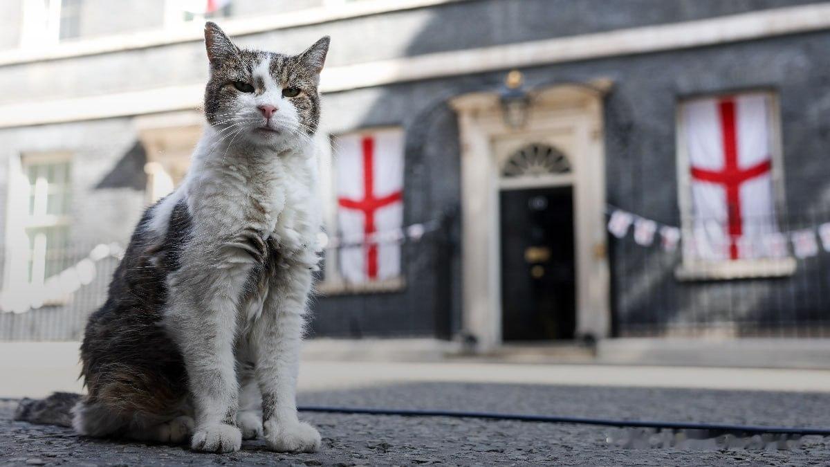 英国新任首相伯内姆决定，不把自己的宠物狗阿克塞尔带入唐宁街10号，因为官邸的“首