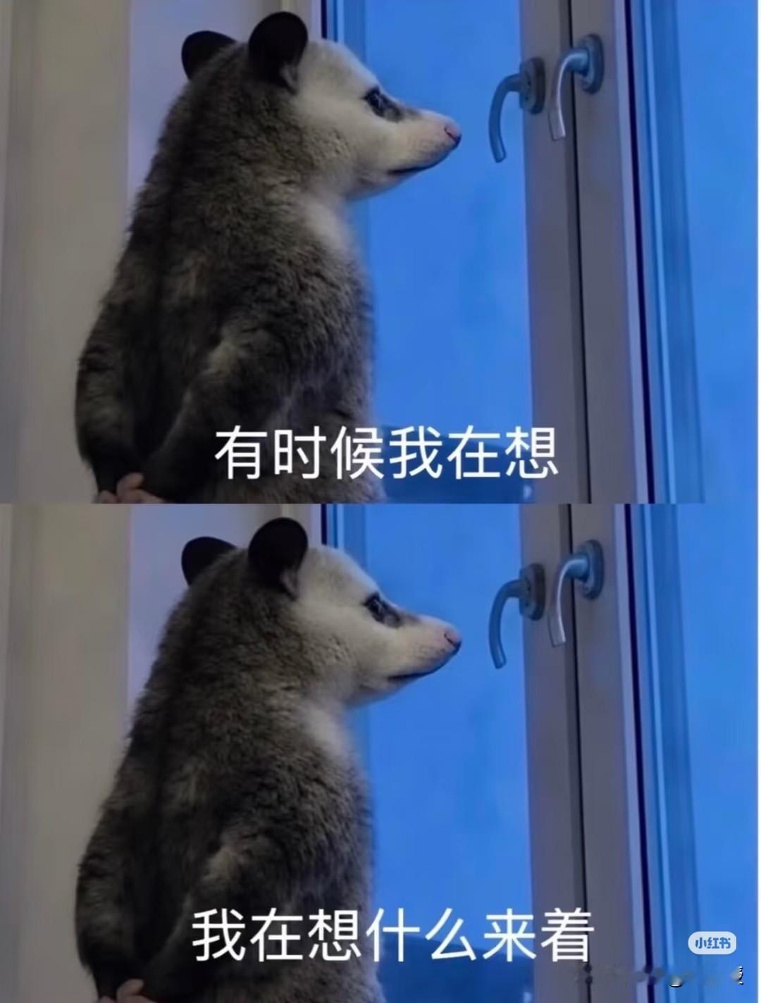 有时候也要放空下自己
休息是为了更好工作