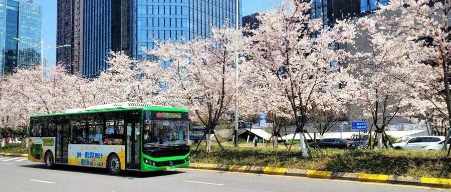 兰州的朋友们，特别是每天依靠公交车出行的上班族们！
从6月6日起，兰州公交集团对