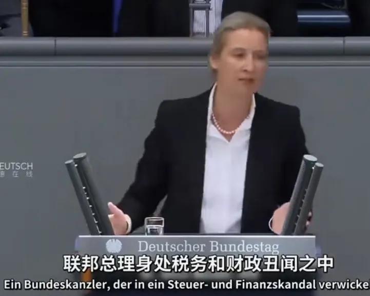 看了德国议员魏德尔在议会的演讲，真是精彩绝伦！不仅口才好、思路清晰、反应敏捷，而