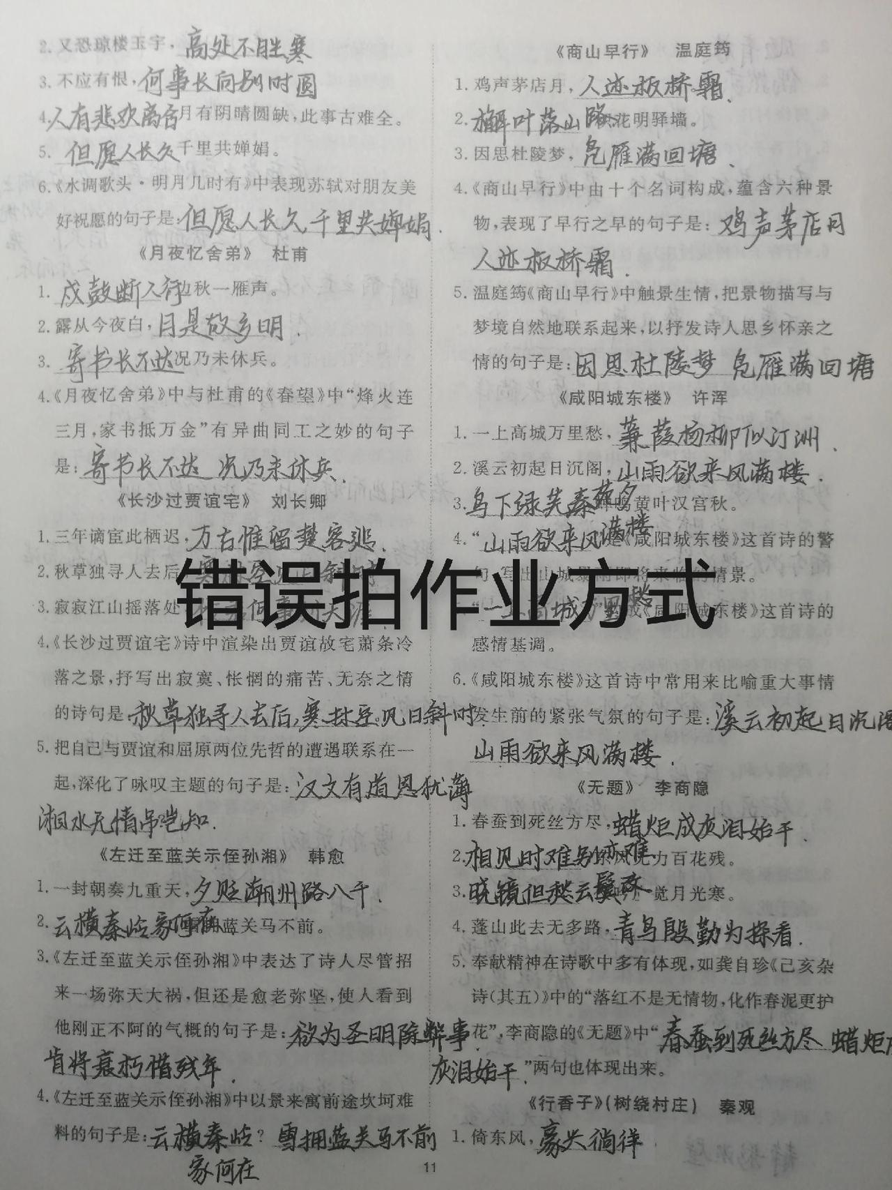 拍照 整活 拍作业我是认真的 
