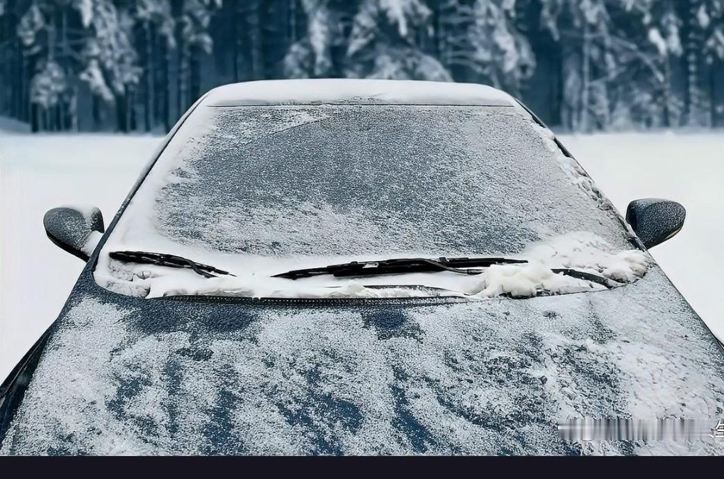 零下30度洗车省钱？你的车可能秒变“冰糖”！🧊

前几天沈阳一位车主干了件事，