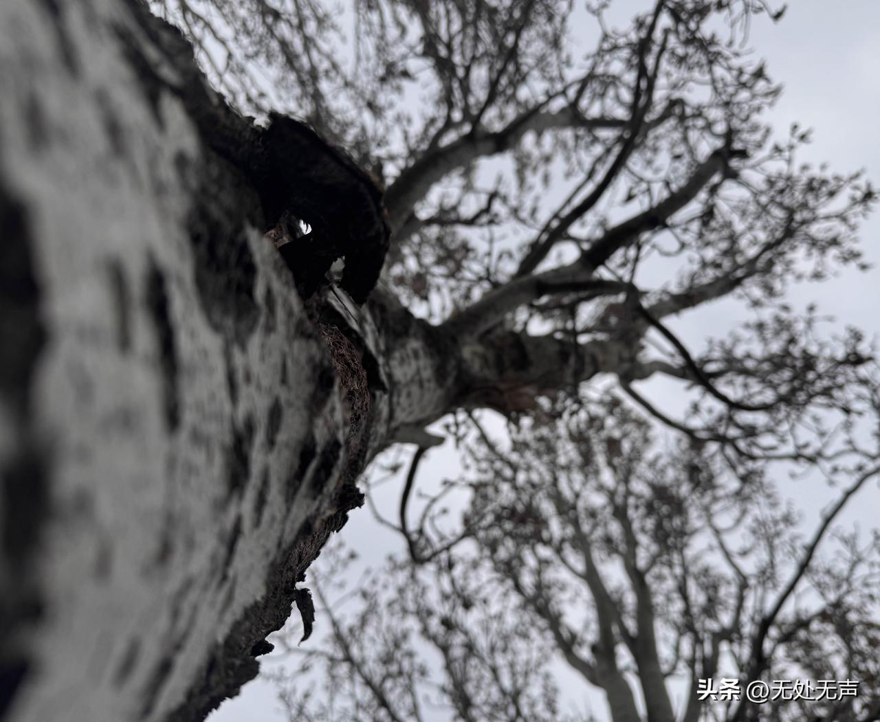 我当了8年的好人，一下就塌了。
昨天堂弟找我借 2 万元，这些年堂弟找我借钱我基