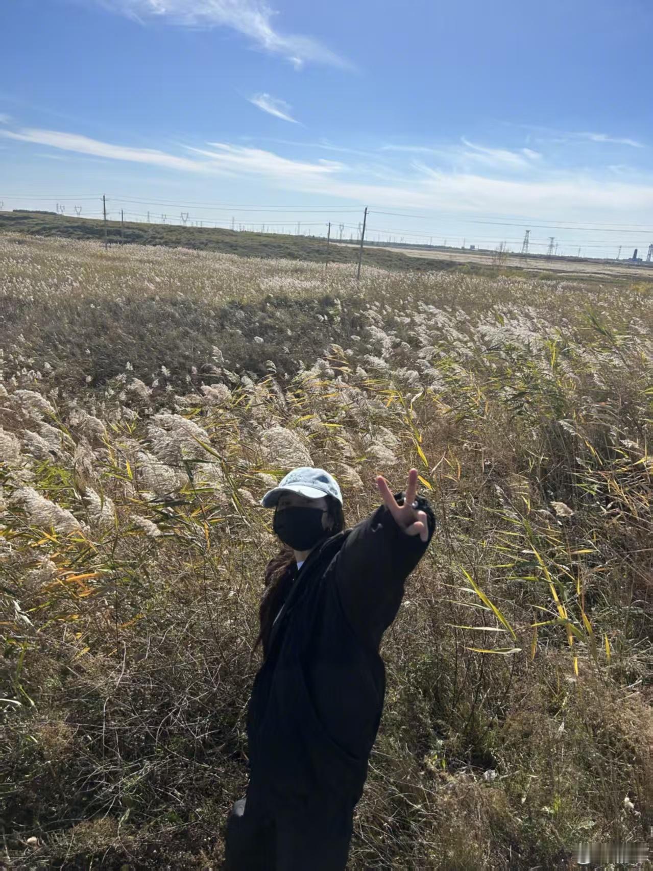 杨幂小雪营业十二宫格，好看，