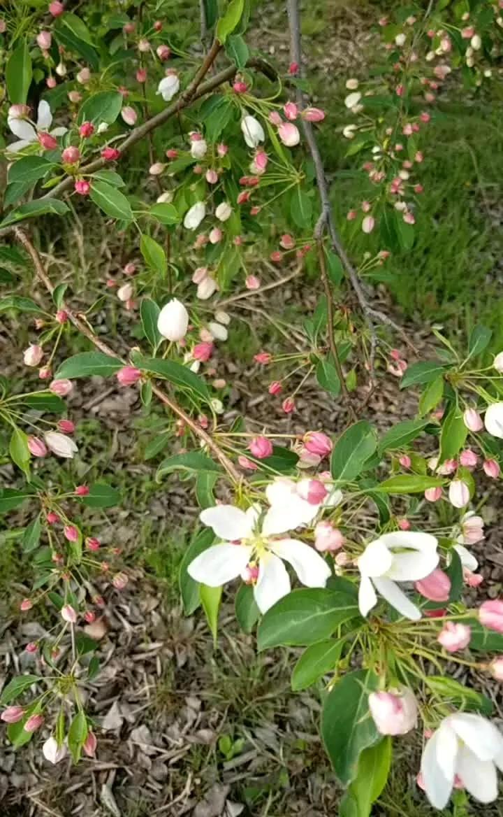 我十六岁那年，跟父亲闹别扭，离家出走。

从早上走到下午，走出了很远很远，走到了