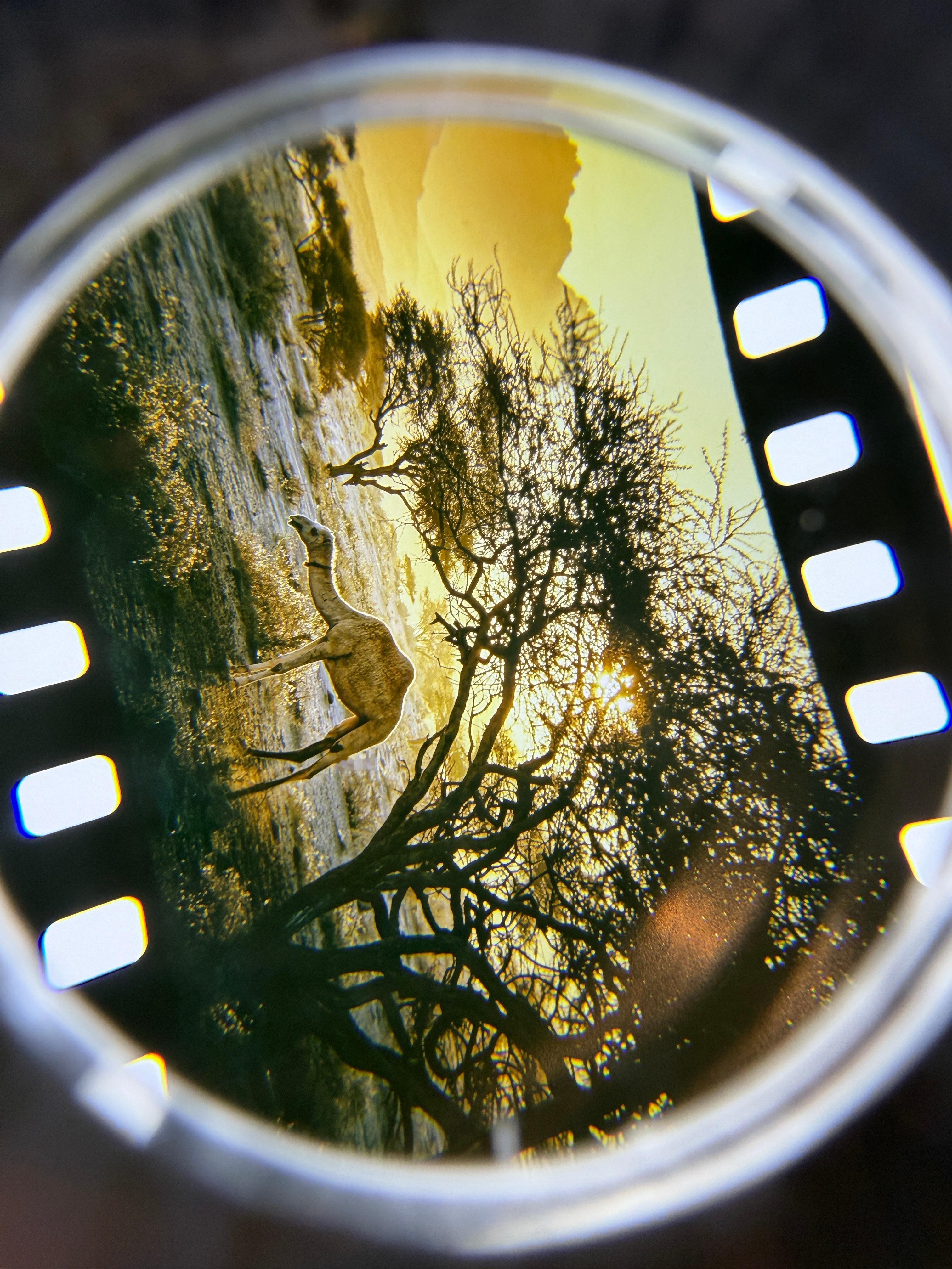 OPPO Find X9 Ultra和X9s Pro要来咯！这次邀请函直接给配了