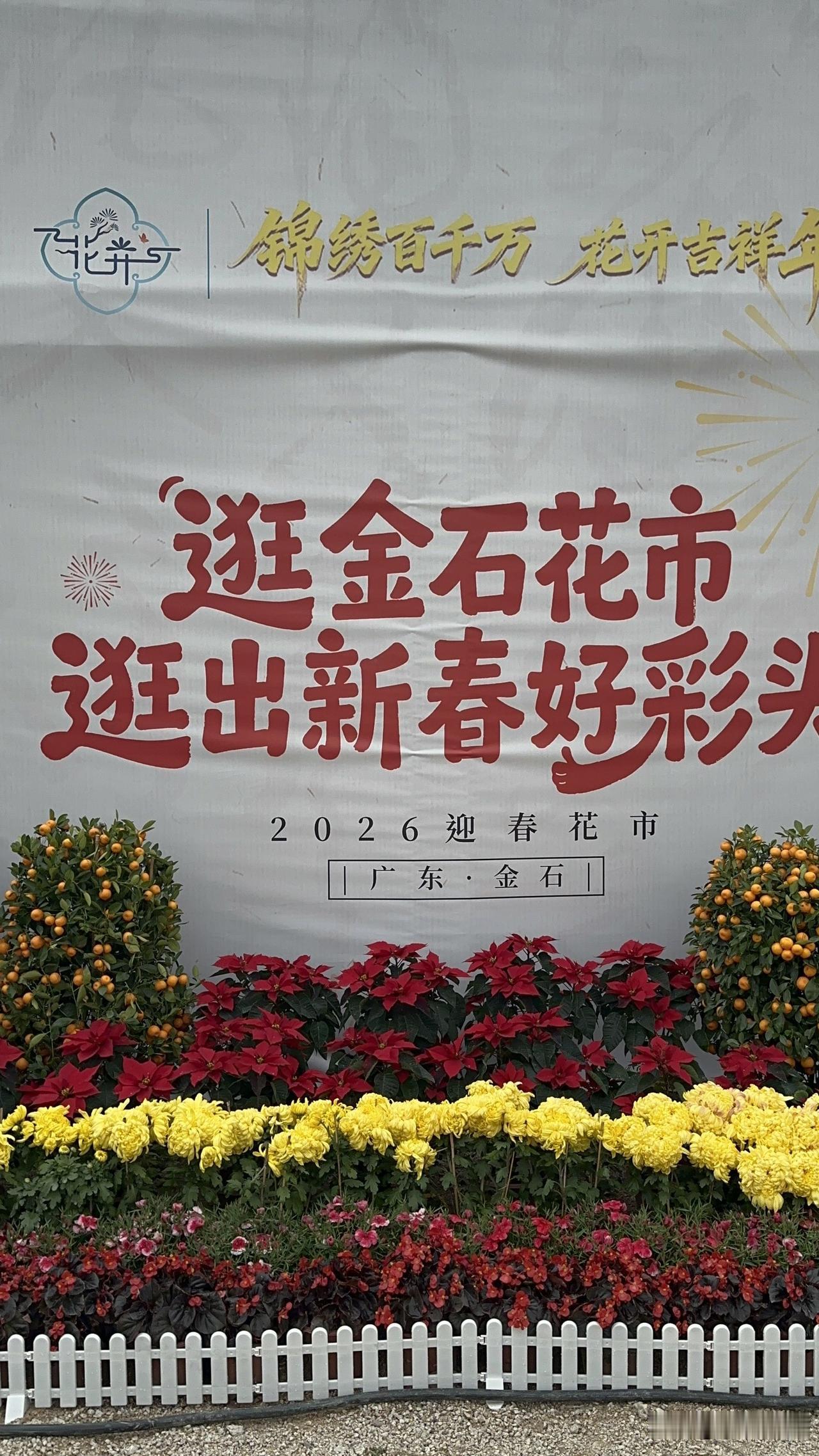 潮州金石花卉文化周暨迎春花市开幕啦，这简直是花卉爱好者的福音！现场肯定是繁花似锦