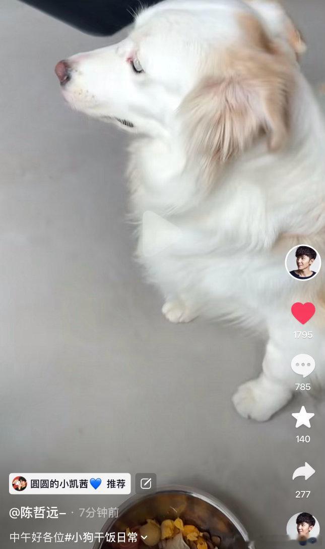 快去看🫘 人吃的不如🐶系列加更了 哥哥还喜提了小azan的白眼🙄 哈哈哈哈