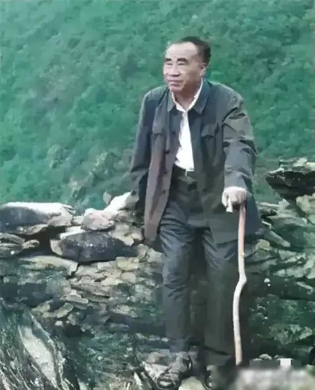 笑满农家
        1962年，朱老总回到井冈山。
        朱老总
