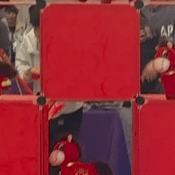 这是小莎的战利品吗