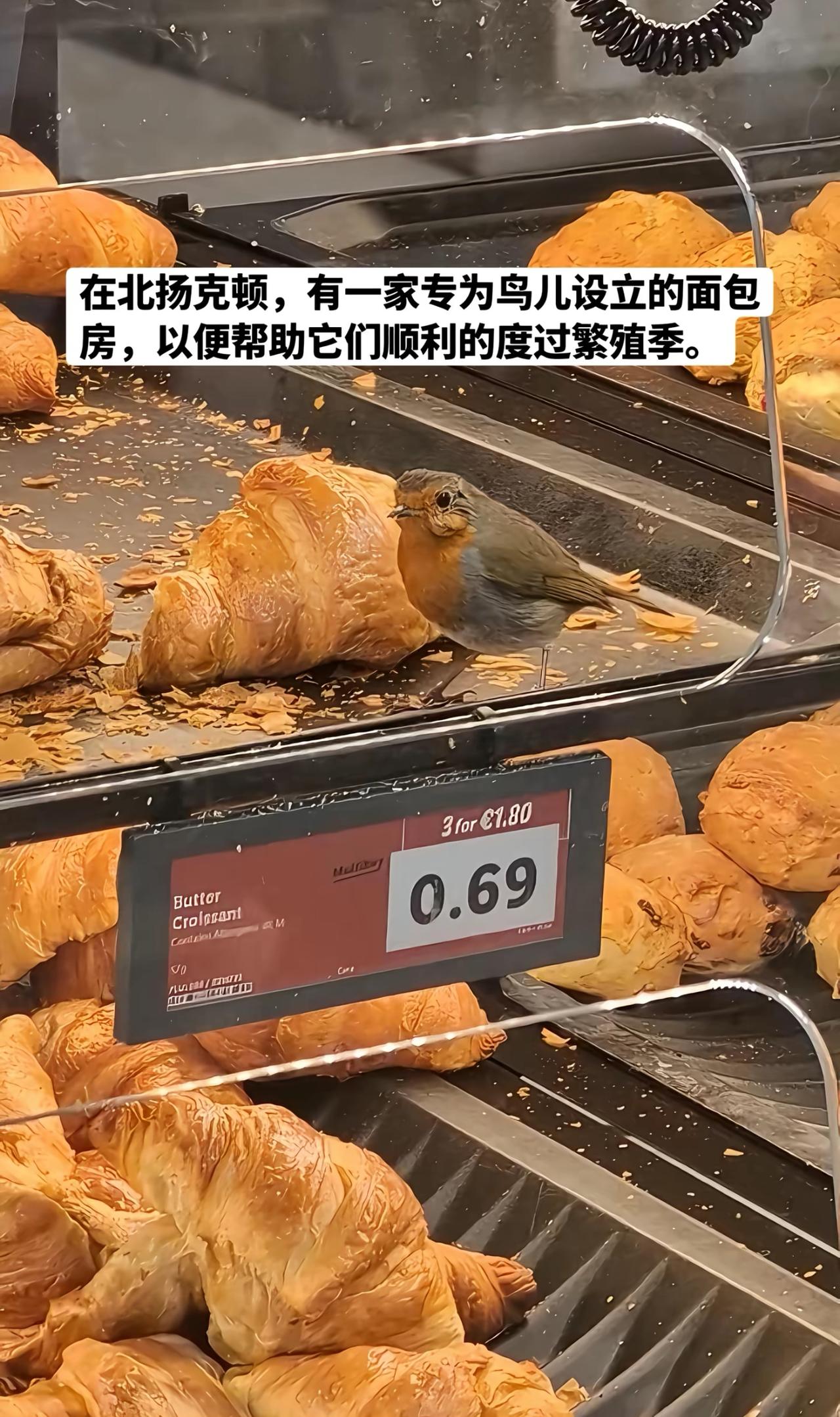 《爱心面包房》
虽说不是国外的月亮更圆，但是和人家的一些差距还是很远的