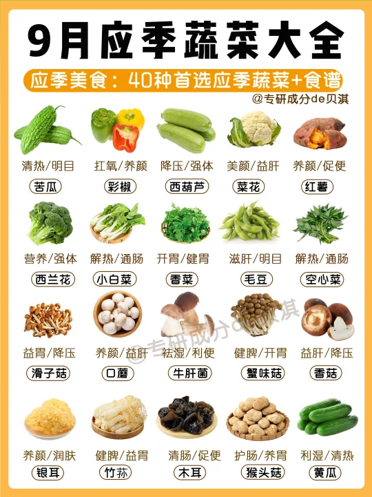 9月应季蔬菜👆🏻附秋季营养美味家常菜食谱