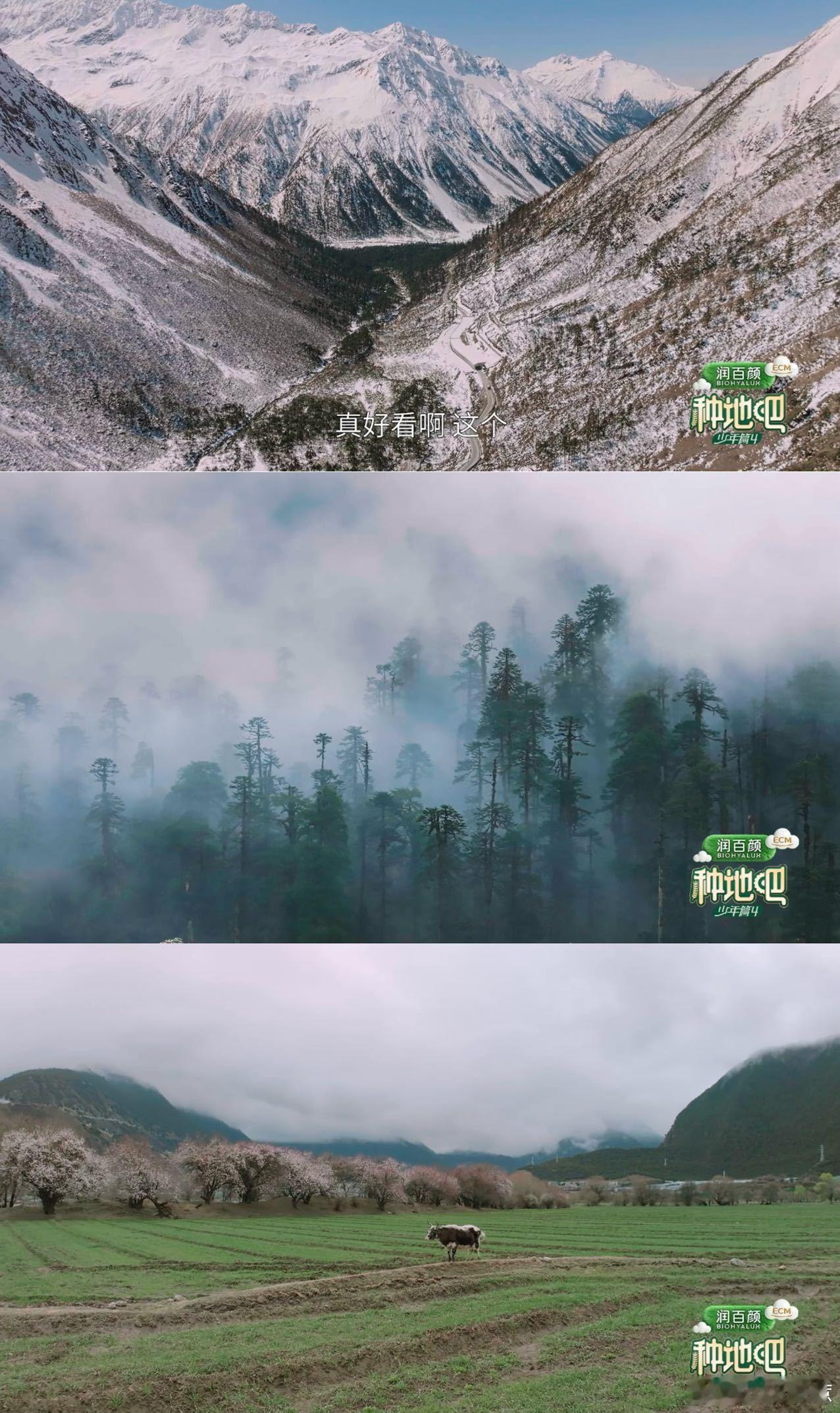 种地吧4见天地宣传片种地吧 看完宣传片已经开始蹲种地吧4正片了，光是预告里墨脱于